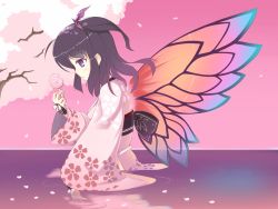 Rule 34 | 1girl, aisha landar, bad id, bad pixiv id, black hair, candy, cherry blossoms, dexp, elsword, food, gradient hair, japanese clothes, kimono, lollipop, looking down, multicolored hair, multicolored wings, purple eyes, solo, wading, water, wings
