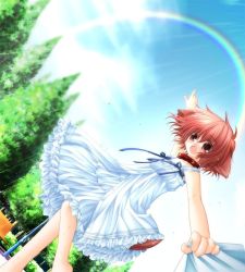 Rule 34 | 1girl, animal ears, arm up, barefoot, bench, blush, bow, cloud, collar, day, dog ears, dog tail, dragging, dress, dutch angle, eyes visible through hair, flat chest, frills, from below, game cg, hinata (pure pure), klein (sao), looking at viewer, open mouth, outdoors, pink eyes, pink hair, pointing, pov, pure pure, rain, rainbow, ribbon, sakurazawa izumi, shirt tug, short dress, short hair, sky, solo, standing, sundress, tail, tongue, tree, unbuttoned, wet
