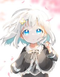 Rule 34 | 1girl, bad id, bad pixiv id, black bow, black dress, black shirt, blue eyes, blush, bow, dress, fingernails, flower, frilled shirt, frills, fuyusuke (hz+), hair flower, hair ornament, hairclip, hand up, long hair, long sleeves, looking up, md5 mismatch, original, parted lips, petals, revision, shirt, solo, striped, striped bow, white background, white hair