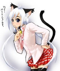Rule 34 | animal ears, cat ears, cat tail, miniskirt, skirt, solo, tail, takano saki, thighhighs, zettai ryouiki