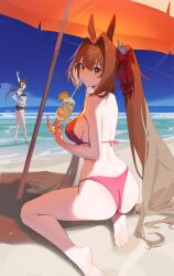 Rule 34 | 2girls, absurdres, animal ears, ass, back, barefoot, beach, beach umbrella, bikini, black bikini, blue sky, bow, breasts, brown hair, character request, commentary, crossed bangs, cup, daiwa scarlet (trifle vacation) (umamusume), daiwa scarlet (umamusume), drink, drinking straw, faceless, faceless female, food, from behind, fruit, full body, hair between eyes, hair bow, hair intakes, highres, holding, holding cup, horizon, horse ears, horse girl, large breasts, lemon, long hair, looking at viewer, looking back, multiple girls, olys, parted lips, red bikini, red bow, red eyes, sand, sideboob, sitting, sky, soles, solo focus, sparkle, swimsuit, teeth, twintails, twitter username, umamusume, umbrella, very long hair, wariza, water