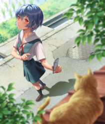 Rule 34 | 1girl, ayanami rei, black socks, blue hair, blue skirt, blurry, blurry foreground, blush, bow, bowtie, breasts, brown footwear, cat, cellphone, collared shirt, commentary, foliage, foreshortening, from above, full body, highres, holding, holding phone, loafers, looking at viewer, manhole cover, neck ribbon, neon genesis evangelion, orange cat, phone, pointing, pursed lips, red bow, red bowtie, red eyes, red ribbon, ribbon, rice paddy, road, school uniform, shadow, shirt, shoes, short hair, short sleeves, skirt, small breasts, smartphone, socks, solo, storm drain, suspender skirt, suspenders, taking picture, tile roof, tokyo-3 middle school uniform, tree, walking, white shirt, yahha