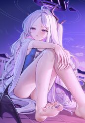 Rule 34 | 1girl, absurdres, ahoge, ass, bare legs, barefoot, blue archive, blurry, blush, cloud, cloudy sky, collarbone, commentary request, demon girl, demon horns, demon wings, depth of field, dpea9, fence, forehead, hair ornament, hairclip, halo, highres, hina (blue archive), hina (swimsuit) (blue archive), horns, hugging own legs, knees up, long hair, looking at viewer, mountainous horizon, name tag, night, night sky, official alternate costume, old school swimsuit, one side up, outdoors, parted lips, purple eyes, school swimsuit, sidelocks, sky, sleeveless, soles, solo, swimsuit, toes, whistle, whistle around neck, white hair, wings