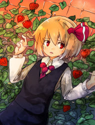 Rule 34 | 1girl, blonde hair, chain-link fence, chinese lantern (plant), female focus, fence, ground cherry, hair ribbon, looking away, murani, plant, red eyes, ribbon, rumia, short hair, solo, touhou, wire