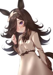 Rule 34 | 1girl, animal ears, blue eyes, blush, bow, bowtie, brown bow, brown bowtie, brown hair, casual, closed mouth, commentary request, cowboy shot, dress, frown, grey dress, hair over one eye, hair ribbon, highres, horse ears, horse girl, horse tail, long hair, long sleeves, looking at viewer, merxkialis, nose blush, ribbon, rice shower (umamusume), solo, tail, umamusume, white ribbon