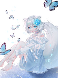 Rule 34 | 1girl, absurdres, animal ears, bad id, bad pixiv id, bandaid, barefoot, blue choker, blue dress, blue eyes, blue flower, blue nails, blue rose, blurry, blurry foreground, bow choker, bug, butterfly, character request, choker, dress, ear piercing, fang, flower, from side, hair flower, hair intakes, hair ornament, highres, insect, knees up, lace, long sleeves, looking at viewer, looking to the side, multicolored clothes, multicolored dress, nail polish, open mouth, original, petals, piercing, ribbon, rose, short hair, sitting, smile, solo, strap slip, tail, toenail polish, toenails, white dress, white hair, wolf ears, wolf tail, yagen (user mxur3238)