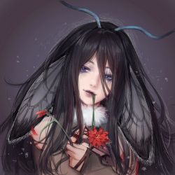 Rule 34 | 1girl, androgynous, antennae, arthropod girl, black hair, blue eyes, commentary request, copyright request, flower, fur collar, gradient background, hand up, head wings, holding, holding flower, long hair, long sleeves, looking at viewer, mouth hold, petals, purple background, purple eyes, red flower, sleeves past wrists, smile, solo, tanu0706, upper body, wings