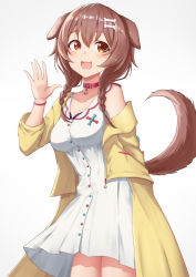 Rule 34 | 1girl, :3, :d, animal collar, animal ears, blush, bone hair ornament, bracelet, braid, breasts, brown eyes, brown hair, buttons, cartoon bone, cleavage, collar, collarbone, cowboy shot, dog ears, dog girl, dog tail, dress, fangs, hair between eyes, hair ornament, hairclip, highres, hololive, inugami korone, inugami korone (1st costume), jacket, jewelry, jirofly, long hair, looking at viewer, low twin braids, low twintails, medium breasts, off-shoulder jacket, off shoulder, open mouth, red collar, short dress, simple background, smile, solo, tail, twin braids, twintails, virtual youtuber, waving, white background, white dress, wristband, yellow jacket