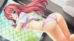 Rule 34 | 1girl, angry, aqua eyes, ass, blush, bra, breasts, clothes lift, from behind, game cg, kimi to yumemishi, long hair, looking at viewer, looking back, nishizaki yui, open mouth, panties, pink bra, pink panties, red hair, shimofuri, shirt, shirt lift, short sleeves, small breasts, solo, source request, standing, underwear, undressing, white shirt, window
