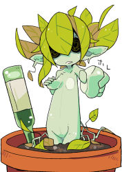 Rule 34 | bottle, breasts, flat chest, highres, leaf, monster girl, no pupils, original, plant girl, pointy ears, simple background, tomatojam, white background