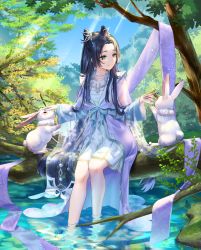 Rule 34 | 1girl, absurdres, black hair, blue eyes, blue ribbon, branch, chinese clothes, closed mouth, commentary, double bun, feet out of frame, fingernails, forest, hagoromo, hair bun, hair ornament, hairpin, hanfu, highres, holding, kotosuzu, long hair, long sleeves, looking at animal, md5 mismatch, nail polish, nature, original, outdoors, parted bangs, petting, purple nails, rabbit, resolution mismatch, ribbon, shawl, sitting, smile, solo, source smaller, tree, very long hair, water, wide sleeves