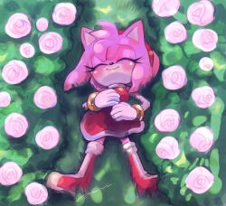 Rule 34 | 1girl, amy rose, animal ears, animal nose, bare shoulders, blush, boots, bracelet, breasts, closed eyes, closed mouth, dress, eyelashes, flower, furry, furry female, gloves, gold bracelet, grass, hairband, hand on own chest, hand on own stomach, hands up, hedgehog ears, hedgehog girl, highres, jewelry, leaf, lying, medium breasts, on back, pam3le, pink flower, pink fur, pink rose, red dress, red footwear, red hairband, rose, sleeveless, sleeveless dress, smile, solo, sonic (series), white gloves