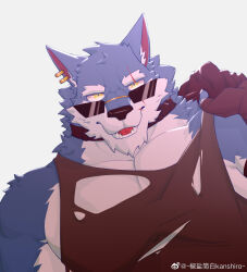 Rule 34 | 1boy, bara, bdjb kanshiro, blue fur, dislyte, earrings, eyebrow cut, fangs, forked eyebrows, freddy (fenrir) (dislyte), furry, furry male, highres, holding, jacket, jacket over shoulder, jewelry, large pectorals, looking at viewer, looking over eyewear, male focus, mature male, multiple earrings, muscular, muscular male, open mouth, pectoral cleavage, pectorals, shirt, short hair, solo, sunglasses, torn clothes, torn shirt, unworn jacket, upper body, wolf boy