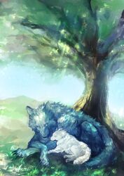 Rule 34 | absurdres, blue eyes, blue fur, blue sky, closed eyes, closed mouth, dappled sunlight, fate/grand order, fate (series), full body, grass, green background, harukazu, highres, lobo (fate), lying, lying on animal, lying on another, no humans, on stomach, outdoors, plant, sky, solo, sunlight, tree, white fur, wolf