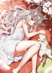 Rule 34 | 1girl, animal ears, bare shoulders, barefoot, blue eyes, blush, cat, cat ears, cherry blossoms, day, dress, grass, highres, kokuto (kurousagi1210), long hair, looking at viewer, lying, on side, open mouth, original, shadow, solo, sunlight, white dress, white hair