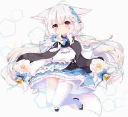 Rule 34 | 1girl, ahoge, animal ear fluff, animal ears, asymmetrical legwear, black footwear, blush, closed mouth, commentary request, commission, dress, flower, frilled dress, frilled thighhighs, frills, full body, fur-trimmed sleeves, fur trim, fuuna, hair between eyes, hand up, highres, long sleeves, looking at viewer, mismatched legwear, original, puffy long sleeves, puffy sleeves, red eyes, sakurada shiro (hy plus), shoes, silver hair, skeb commission, smile, solo, tail, thighhighs, white background, white dress, white flower, white thighhighs