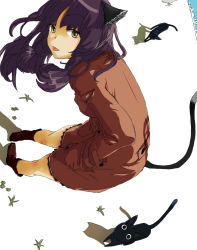 Rule 34 | 1girl, :p, animal, animal ears, bad id, bad pixiv id, bent over, black eyes, boots, cat, cat ears, cat tail, coat, female focus, full body, grass, hand in pocket, long hair, nimirom, original, purple hair, shadow, sideways, solo, tail, tongue, tongue out, white background, yellow eyes
