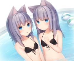 Rule 34 | 2girls, amashiro natsuki, animal ears, bad id, bad pixiv id, ball, bare shoulders, beachball, bikini, blue eyes, blush, breasts, cat ears, cleavage, closed mouth, commentary request, grey hair, long hair, looking at viewer, medium hair, multiple girls, navel, open mouth, original, partially submerged, slit pupils, small breasts, swimsuit, upper body, water, wet
