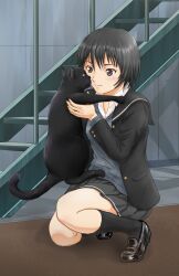 Rule 34 | 1girl, all (26981910), amagami, animal, black cat, black footwear, black hair, black jacket, black sailor collar, black socks, blazer, blue sweater, brown eyes, cat, closed mouth, commentary, dress shirt, full body, hair between eyes, highres, holding, holding animal, holding cat, jacket, kibito high school uniform, kneehighs, loafers, long sleeves, looking at animal, nanasaki ai, open clothes, open jacket, pleated skirt, puu (amagami), sailor collar, school uniform, shirt, shoes, short hair, skirt, smile, socks, solo, squatting, stairs, sweater, white shirt