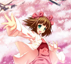 Rule 34 | 00s, 1girl, amami haruka, brown hair, cherry blossoms, chu (chu inthis), female focus, green eyes, hair ribbon, idolmaster, idolmaster (classic), idolmaster 1, jacket, nature, outdoors, outstretched arms, petals, ribbon, short hair, solo, spread arms