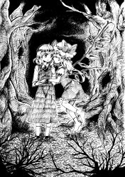 Rule 34 | 2girls, ankle socks, bad id, bad pixiv id, ballpoint pen (medium), bare tree, blouse, closed eyes, flandre scarlet, flying, forest, greyscale, highres, holding hands, imminent kiss, long sleeves, looking at another, monochrome, multiple girls, nature, night, no shoes, porupu, puffy short sleeves, puffy sleeves, rumia, shirt, short hair, short sleeves, skirt, skirt set, socks, touhou, traditional media, tree, vest, wings, wrist cuffs, yuri