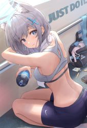 Rule 34 | 1girl, animal ears, back, bad id, bad pixiv id, bag, bare arms, bare shoulders, bike shorts, black shorts, blue archive, blue eyes, bottle, bra, breasts, bright pupils, crop top, duffel bag, from behind, grey hair, halo, hamstarhand, highres, holding, long hair, looking at viewer, looking back, magazine (weapon), medium breasts, midriff, parted lips, seiza, shiroko (blue archive), short shorts, shorts, sitting, sleeveless, socks, solo, sports bra, sweat, thighs, towel, towel around neck, underwear, unworn bra, water bottle