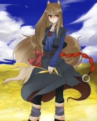 Rule 34 | 00s, animal ears, brown hair, highres, holo, red eyes, solo, spice and wolf, tail, tansuke, wheat, wolf ears, wolf tail