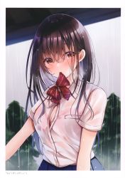 Rule 34 | 1girl, absurdres, black hair, blue skirt, bow, bowtie, bra visible through clothes, breasts, brown eyes, cleavage, collared shirt, highres, long hair, looking at viewer, medium breasts, mouth hold, original, outdoors, partially unbuttoned, rain, red bow, red bowtie, sakura hiyori, scan, school uniform, see-through, shirt, shirt tucked in, short sleeves, skirt, solo, striped bow, striped bowtie, striped clothes, striped neckwear, upper body, water, wet, wet clothes, wet shirt, white shirt
