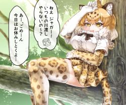 Rule 34 | 10s, 2girls, animal ears, blonde hair, blood, blush stickers, bow, bowtie, branch, breast pocket, check translation, day, dripping, elbow gloves, fang, fur collar, gloves, grey hair, hair between eyes, hand on own forehead, hand on own stomach, hand up, in tree, jaguar (kemono friends), jaguar ears, jaguar print, jaguar tail, kemono friends, menstruation, multicolored hair, multiple girls, open mouth, otter ears, outdoors, pocket, print gloves, print legwear, print skirt, shirt, short sleeves, sitting, sitting in tree, skirt, small-clawed otter (kemono friends), smile, solo focus, sweat, tail, tanaka kusao, thighhighs, translation request, tree, tsurime, white hair, white shirt, yellow eyes, zettai ryouiki