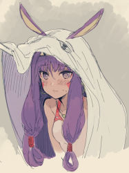 Rule 34 | 1girl, animal ears, blanket, blush, closed mouth, competition swimsuit, dark-skinned female, dark skin, fate/grand order, fate (series), jackal ears, long hair, looking at viewer, nakayama miyuki, nitocris (fate), nitocris (fate/grand order), nitocris (swimsuit assassin) (fate), nitocris (swimsuit assassin) (second ascension) (fate), one-piece swimsuit, purple eyes, purple hair, sketch, solo, sweat, swimsuit, upper body