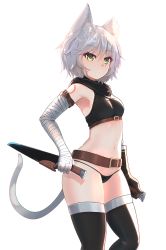 Rule 34 | 1girl, animal ears, bandaged arm, bandages, belt, black gloves, black panties, black thighhighs, breasts, cat ears, cat tail, ehrrr, fate/apocrypha, fate (series), gloves, green eyes, highres, holding, holding knife, jack the ripper (fate/apocrypha), kemonomimi mode, knife, navel, panties, scar, scar across eye, scar on face, sheath, sheathed, shoulder tattoo, silver hair, single glove, small breasts, solo, tail, tattoo, thighhighs, transparent background, underwear