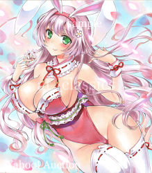 Rule 34 | 1girl, animal ears, artist name, at classics, blush, breasts, cleavage, closed mouth, collar, cowboy shot, detached collar, flower, frilled collar, frills, green eyes, groin, hair flower, hair ornament, holding, holding flower, large breasts, long hair, looking at viewer, original, pink hair, rabbit ears, ribbon-trimmed collar, ribbon-trimmed legwear, ribbon trim, sample watermark, sash, sidelocks, smile, solo, thighhighs, traditional media, very long hair, watermark, white thighhighs, wristband