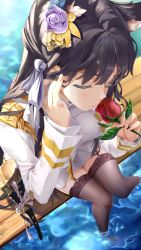Rule 34 | 1girl, animal ears, atago (azur lane), azur lane, black hair, black thighhighs, blush, breasts, closed eyes, closed mouth, collared shirt, dock, flower, from above, garter straps, hair flower, hair ornament, hair ribbon, hand on own face, highres, in water, jacket, katana, large breasts, long hair, long sleeves, military, military jacket, military uniform, miniskirt, mole, mole under eye, no shoes, pinky out, red flower, red rose, ribbon, ripples, rose, sheath, sheathed, shirt, sidelocks, sinner (1205344578), sitting, skirt, smelling flower, smile, solo, swept bangs, sword, thighhighs, thighs, uniform, water, weapon, white jacket, white ribbon, white shirt