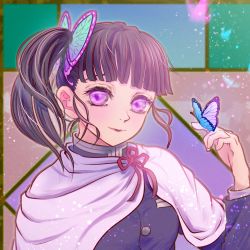 Rule 34 | 1girl, 510lilith, absurdres, blunt bangs, brown hair, bug, butterfly, butterfly hair ornament, butterfly on hand, cape, closed mouth, floating hair, grey jacket, hair ornament, highres, insect, jacket, kimetsu no yaiba, long hair, long sleeves, pink eyes, red ribbon, ribbon, side ponytail, smile, solo, tsuyuri kanao, upper body, white cape