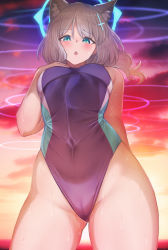 Rule 34 | 1girl, absurdres, animal ear fluff, animal ears, blue archive, blue eyes, blush, cameltoe, cloud, cloudy sky, competition swimsuit, contrapposto, covered navel, cowboy shot, grey hair, hair ornament, halo, hand on own chest, highres, long hair, looking at viewer, makumaxu, one-piece swimsuit, open mouth, outdoors, purple one-piece swimsuit, shiroko (blue archive), shiroko (swimsuit) (blue archive), sky, solo, sunset, swimsuit, wet, x hair ornament