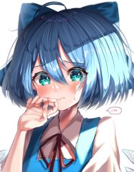 Rule 34 | 1girl, 380u0, absurdres, blue dress, blue eyes, blue hair, cirno, collared shirt, crying, dress, fairy wings, flat chest, highres, ice, ice wings, neck ribbon, pinafore dress, red ribbon, ribbon, sad, shirt, short hair, simple background, sleeveless dress, solo, touhou, white background, white shirt, wings