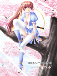 Rule 34 | 1girl, breasts, cherry blossoms, cleavage, collarbone, dead or alive, full body, in tree, japanese clothes, kasumi (doa), kimono, large breasts, na-ga, outdoors, pelvic curtain, plant, sash, sitting, solo, spring (season), tecmo, thighhighs, tree