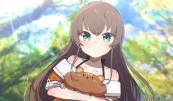 Rule 34 | 1girl, absurdres, ahoge, animal, animal hug, bare shoulders, blurry, blurry background, blush, brown hair, chipmunk, closed mouth, collarbone, commentary request, day, depth of field, green eyes, highres, hololive, jacket, long hair, looking at viewer, matsurisu, natsuiro matsuri, natsuiro matsuri (1st costume), off-shoulder jacket, off shoulder, okota mikan, orange jacket, outdoors, puffy cheeks, puffy short sleeves, puffy sleeves, short sleeves, smile, squirrel, upper body, very long hair, virtual youtuber