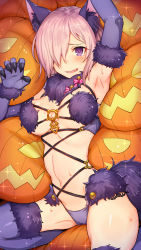 Rule 34 | 1girl, animal costume, animal ears, arm up, armpits, blush, claw pose, claws, embarrassed, fang, fate/grand order, fate (series), glowing, hair over one eye, halloween, halloween costume, highres, jack-o&#039;-lantern, lace trim, looking at viewer, mash kyrielight, mash kyrielight (dangerous beast), navel, o-ring, official alternate costume, one eye covered, panties, pumpkin, purple eyes, purple hair, purple panties, purple thighhighs, revealing clothes, shiny skin, short hair, shouhei, smile, solo, sparkle, stuck, stuffed toy, sweat, tail, thighhighs, underwear, wolf costume, wolf ears, wolf tail
