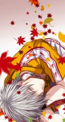Rule 34 | 1boy, absurdres, commentary request, falling leaves, feet out of frame, fugusashi (fgss2089), grey hair, grin, hair between eyes, highres, leaf, long bangs, looking at viewer, lying, male focus, maple leaf, medium hair, niou masaharu, on side, rattail, shirt, short sleeves, shorts, smile, solo, tennis no ouji-sama, white shorts, yellow eyes, yellow shirt