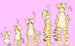 Rule 34 | age comparison, age difference, child, furry, red eyes, tagme, tiger
