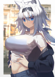 Rule 34 | 1girl, ahoge, animal ear fluff, animal ears, ashisi, bad id, bad pixiv id, blue eyes, blue nails, blush, border, bra visible through clothes, breasts, closed mouth, hair between eyes, hairband, hands on own hips, highres, large breasts, long hair, looking at viewer, midriff, nail polish, off-shoulder jacket, off shoulder, original, pants, see-through, shirt, solo, t-shirt, upper body, white border, white hair, white shirt