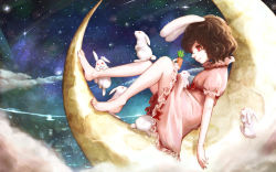 Rule 34 | 1girl, animal ears, barefoot, brown hair, carrot, crescent, dress, gradient background, highres, hoshibuchi, inaba tewi, jewelry, necklace, on crescent, pendant, pink dress, puffy short sleeves, puffy sleeves, rabbit, rabbit ears, red eyes, short sleeves, sitting, smile, solo, too many, too many rabbits, touhou