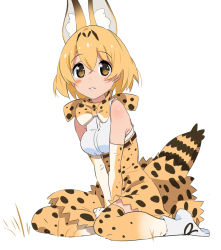 Rule 34 | 10s, 1girl, animal ears, bad id, bad pixiv id, between legs, blonde hair, blush, body blush, bow, bowtie, commentary request, elbow gloves, gloves, hand between legs, high-waist skirt, kemono friends, looking at viewer, print gloves, print skirt, senjitsu musou, serval (kemono friends), serval print, serval tail, shirt, sitting, skirt, sleeveless, sleeveless shirt, solo, striped tail, tail, v arms, wariza, yellow eyes
