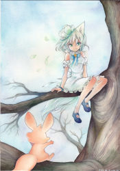 Rule 34 | 1girl, animal ears, bare tree, dated, flower, green eyes, hair flower, hair ornament, in tree, mary janes, mosho, original, petals, shoes, short hair, signature, sitting, sitting in tree, skirt, smile, solo, tail, traditional media, tree, white hair, white skirt