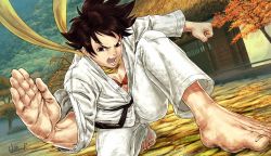 Rule 34 | 1girl, autumn, autumn leaves, barefoot, dirt, dirty, dirty feet, dojo, dougi, feet, fighting stance, highres, karate, karate gi, makoto (street fighter), martial arts, nature, neck ribbon, open mouth, ribbon, short hair, solo, street fighter, toes, training, wallace pires