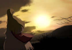 Rule 34 | 1girl, anime coloring, blonde hair, cloud, dress, from behind, grass, hair over eyes, jurakin, long hair, long sleeves, mountain, nature, no headwear, outdoors, perspective, scenery, silhouette, sky, smile, solo, standing, sun, sunset, tabard, touhou, tree, very long hair, white dress, wide sleeves, wind, yakumo yukari, yellow sky