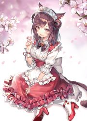 Rule 34 | 1girl, animal ears, warrior of light (ff14), blush, breasts, brown hair, character request, commentary request, facial mark, final fantasy, final fantasy xiv, flower, hairband, high heels, highres, holding, holding flower, long hair, looking at viewer, medium breasts, miqo&#039;te, momoko (momopoco), pumps, red footwear, smile, solo, tail, white legwear
