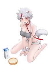 Rule 34 | 1girl, absurdres, animal ears, bare legs, bare shoulders, barefoot, blush, bowl, breasts, cleavage, collar, collarbone, commentary request, cuffs, dog ears, dog tail, full body, han&#039;you no yashahime, highres, higurashi towa, inuyasha, large breasts, leash, looking at viewer, lower teeth only, milk, milk carton, multicolored hair, ohisashiburi, open mouth, panties, pet bowl, red collar, red eyes, red hair, short hair, shorts, silver hair, simple background, sitting, solo, sweatdrop, tail, teeth, two-tone hair, underwear, v arms, wariza, white background, white shorts