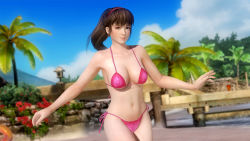 Rule 34 | 1girl, 3d, alternate hairstyle, beach, bikini, blue eyes, breasts, brown hair, dead or alive, dead or alive 5, hitomi (doa), large breasts, long hair, ocean, official art, ponytail, solo, swimsuit, tecmo